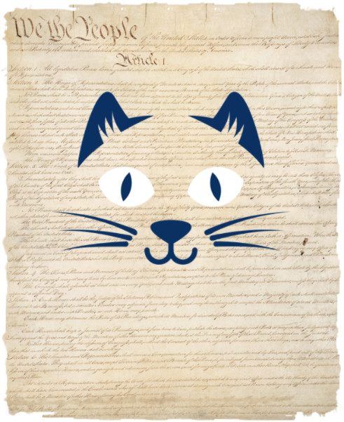 Constitution Cat